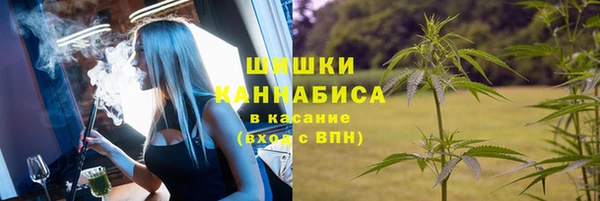 прущая мука Бородино