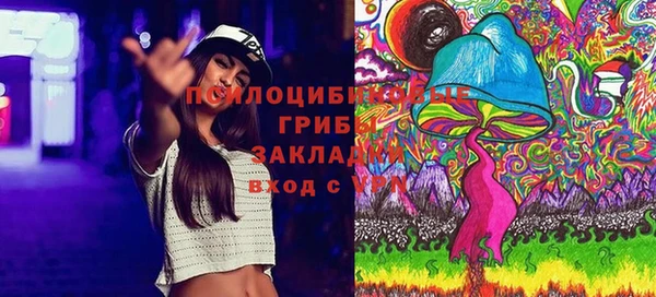 дмт Бугульма