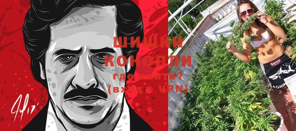 прущая мука Бородино